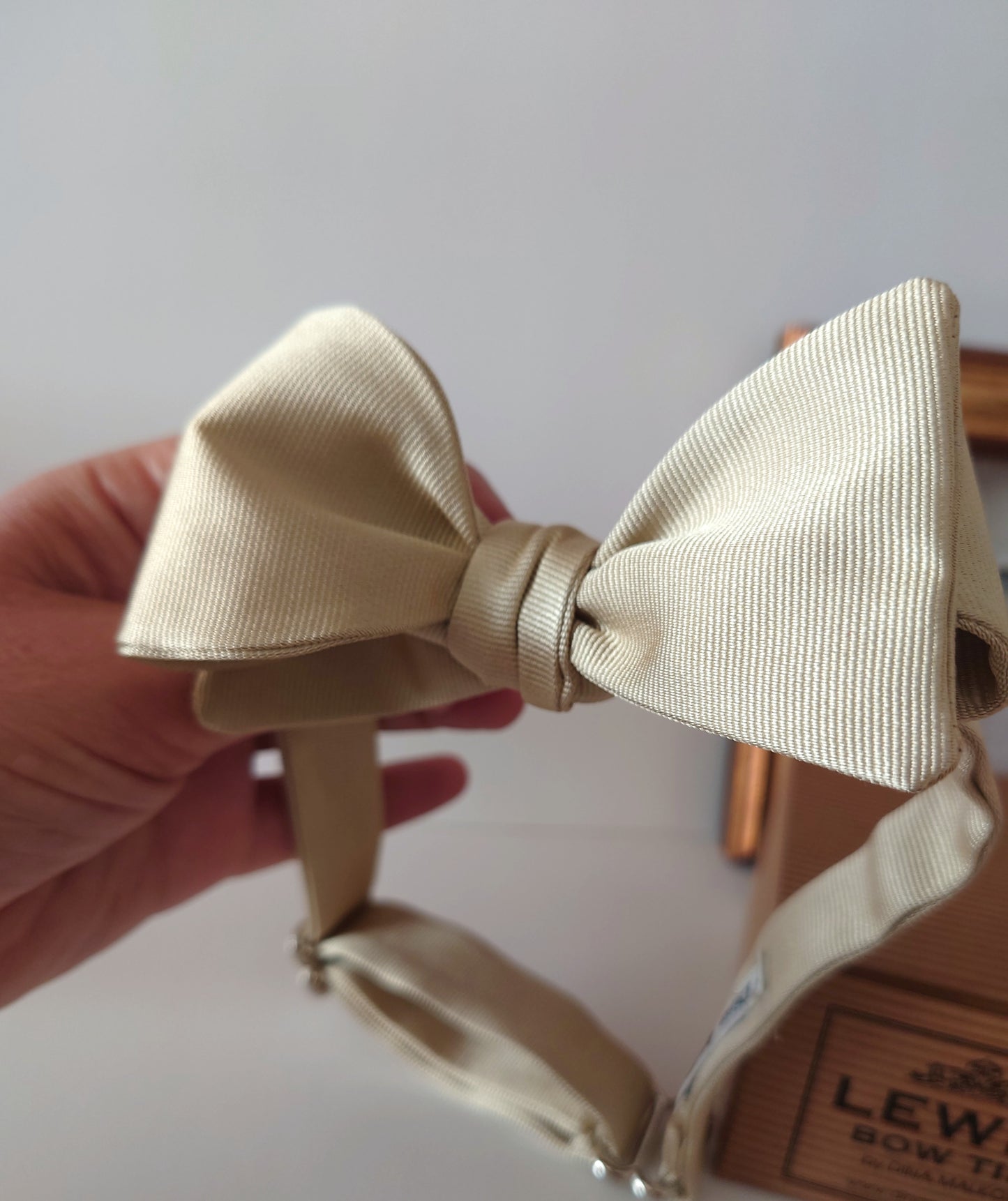 Champagne silk self tie bow tie. Black tie event bow tie
