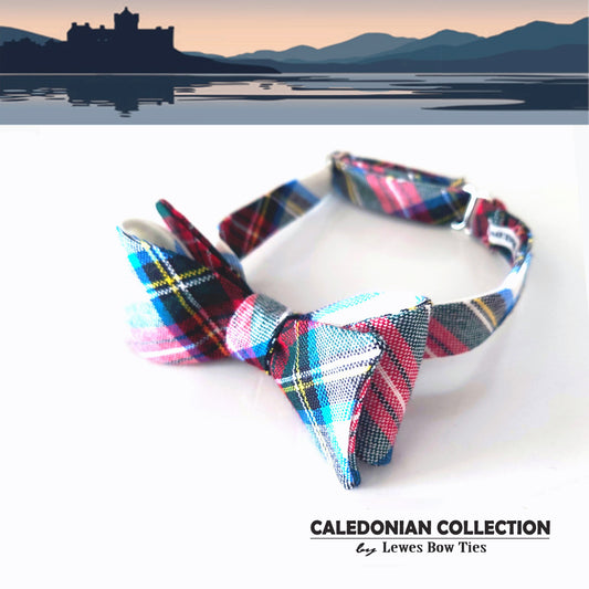 Stewart Dress Modern tartan bow tie
